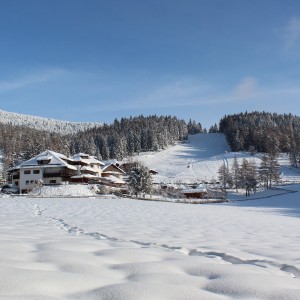 Berghotel zum Zirm***s am Ritten in Südtirol