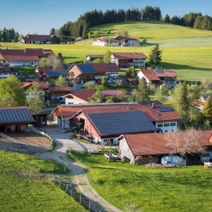 BioBauern- & Pferdehof Schöll